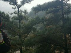 -沂蒙山旅游区云蒙景区(蒙山国家森林公园)