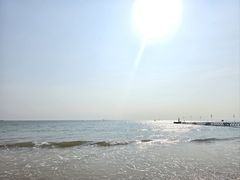 -日照海滨国家森林公园