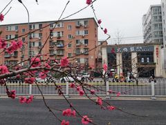 -大鸭梨烤鸭店(花园村店)