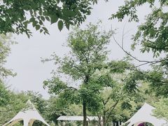 -鹅湖玫瑰文化园