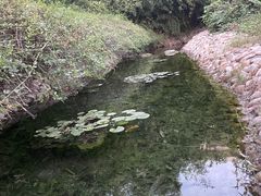 -汤山一号温泉度假区