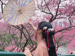 -重庆彩云湖湿地公园