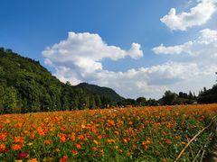 -贵阳市花溪国家城市湿地公园