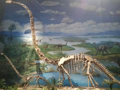 -自贡恐龙博物馆