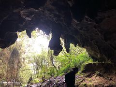 -怀托摩萤火虫洞