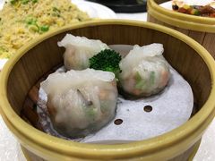 -顺德渔村·岭南一号