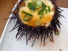 -海胆小馆(东北水饺·春柳店)