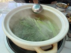 -蘑统田下·野生菌火锅