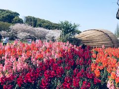 -苏州上方山国家森林公园