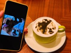 -济南香格里拉·咖啡泉自助餐厅