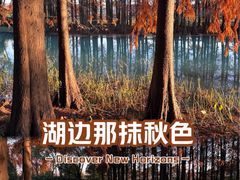 -贡湖湾湿地公园