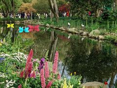 -上海共青森林公园