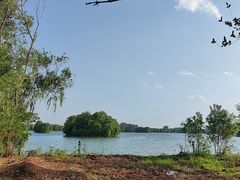 -溱湖国家湿地公园