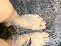 -江门古兜温泉小镇