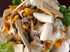 -山大王菌莊