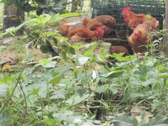 -美家乐农庄·露营·团建(大治路店)