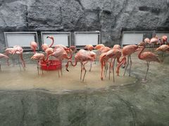 -武汉动物园