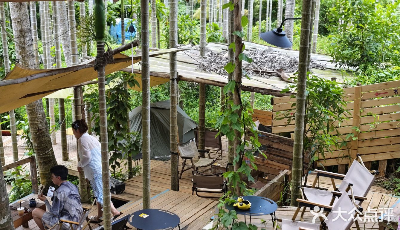 森林中的休闲时光