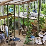 森林中的休闲时光