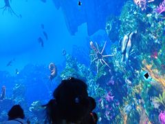 -海合安武汉极地海洋公园