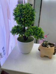 -蕾特恩专业祛痘