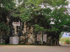 -星湖旅游景区七星岩