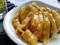 -张鸟园农家乐(张鸟园店)