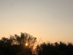 -天适樱花悠乐园