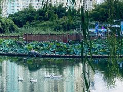 -苏州河梦清园环保主题公园