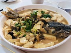 -煲来饱去冷水鱼