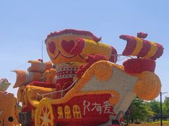 -荷兰花海