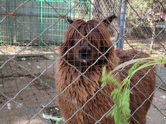 -长白岛森林公园