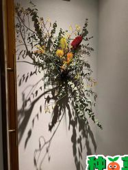 -芳香乐府疗愈空间·SPA·冥想