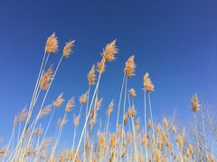 -怀来官厅水库