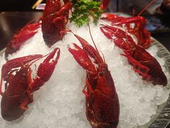 -京悦南门涮羊肉·羊蝎子火锅(田林路店)