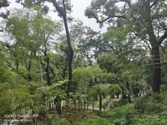 -岳麓山风景名胜区