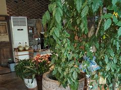 -慢丽江·云南野生菌土鸡锅(付家庄店)