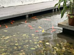 -绿房子方寸咖啡(星海名城店)