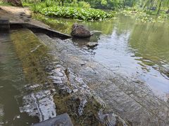 -洛阳市隋唐城遗址植物园