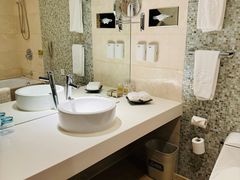 -国家会议中心大酒店