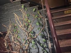 -大桶大足浴(武夷店)