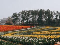 -保利石象湖景区