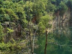 -武吉知马自然保护区