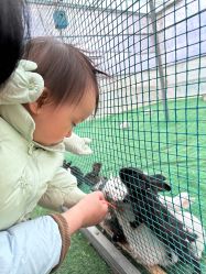 -萌宠亲子动物乐园(槐房万达店)