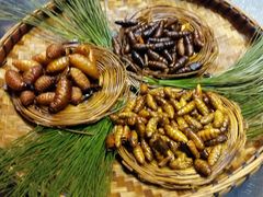 -昆虫窝子·特色云南菜(拓东路总店)