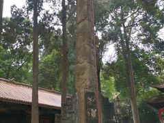 -都江堰普照寺