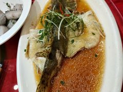 -新虹楼饭庄(崇明陈家镇店)
