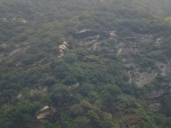 -少华山国家森林公园