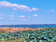 -七的湖·晚芳亭·阳澄湖农家菜·大闸蟹(莲花岛店)