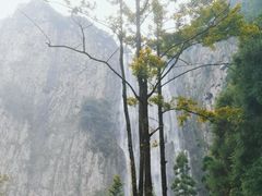 -刘伯温故里景区百丈漈